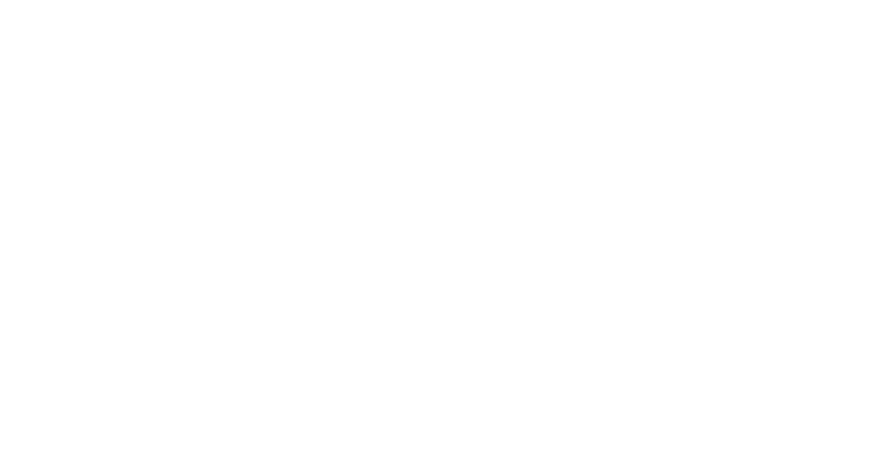  De Los Santos Amaro & Treviño